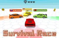 Survival Race